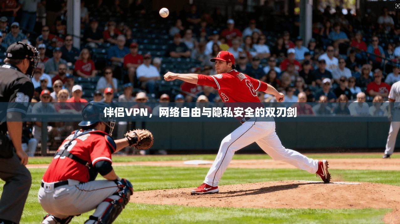 伴侣VPN，网络自由与隐私安全的双刃剑