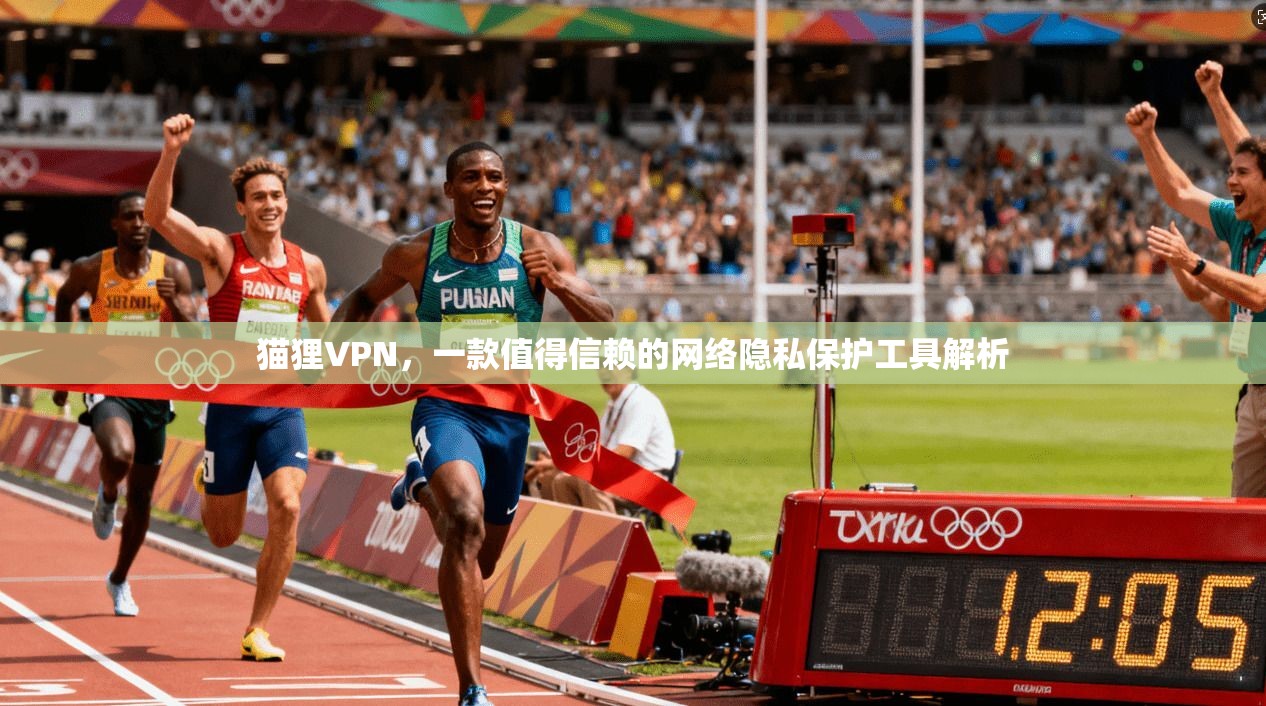 猫狸VPN，一款值得信赖的网络隐私保护工具解析