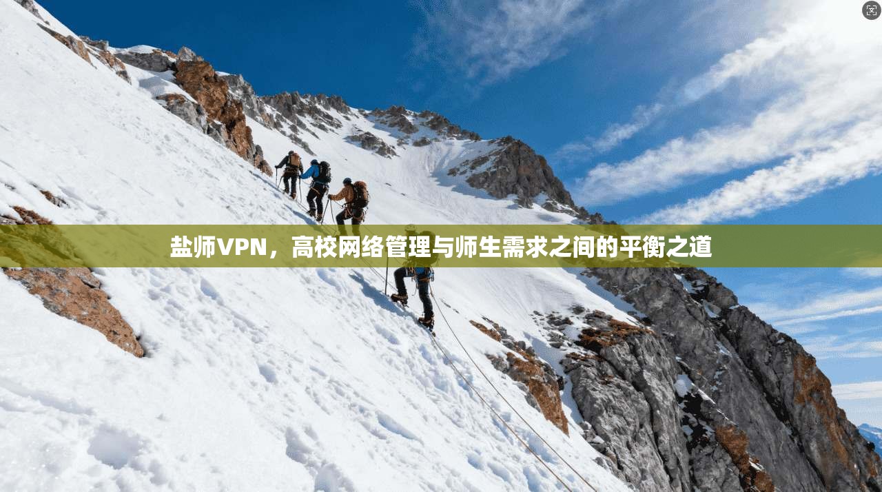 盐师VPN，高校网络管理与师生需求之间的平衡之道