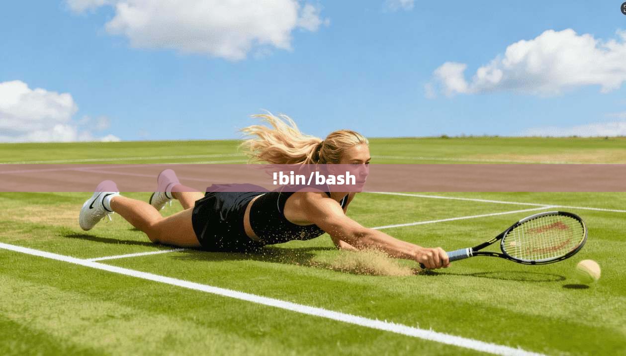 !bin/bash