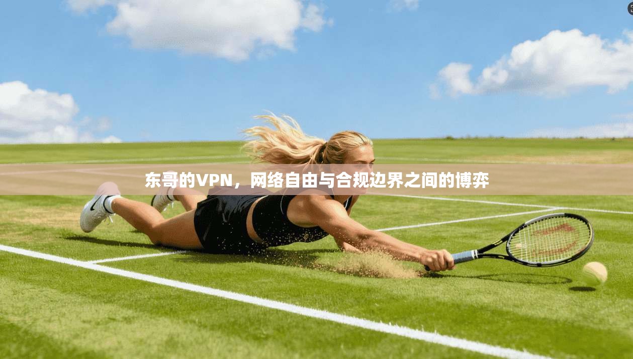 东哥的VPN,网络自由与合规边界之间的博弈 东哥的VPN,网络自由与合规边界之间的博弈