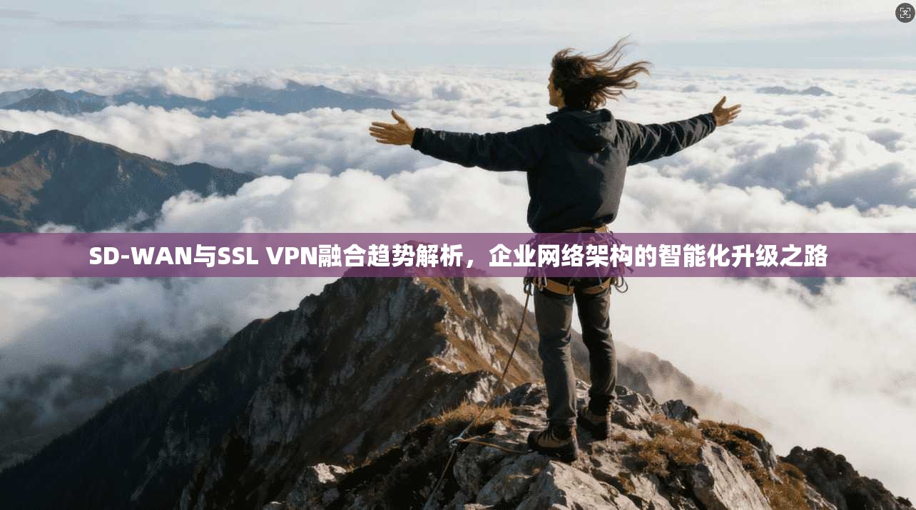 SD-WAN与SSL VPN融合趋势解析,企业网络架构的智能化升级之路