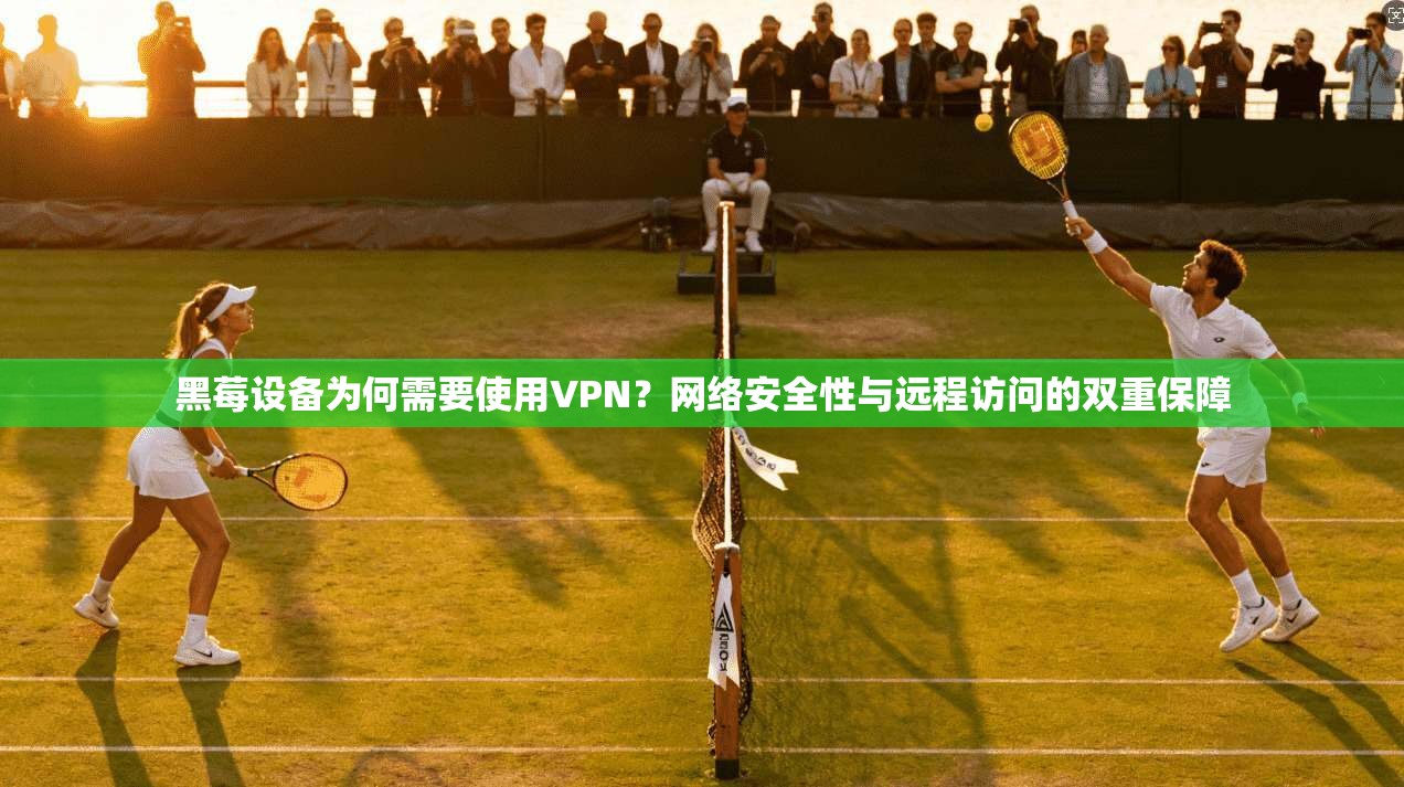 黑莓设备为何需要使用VPN？网络安全性与远程访问的双重保障