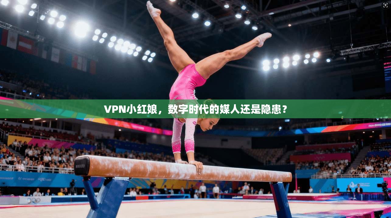 VPN小红娘,数字时代的媒人还是隐患?