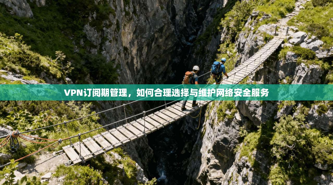 VPN订阅期管理，如何合理选择与维护网络安全服务