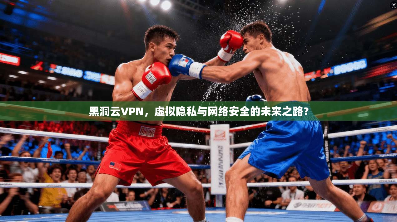 黑洞云VPN,虚拟隐私与网络安全的未来之路?