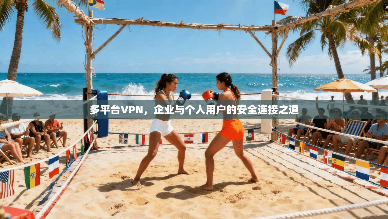 多平台VPN，企业与个人用户的安全连接之道