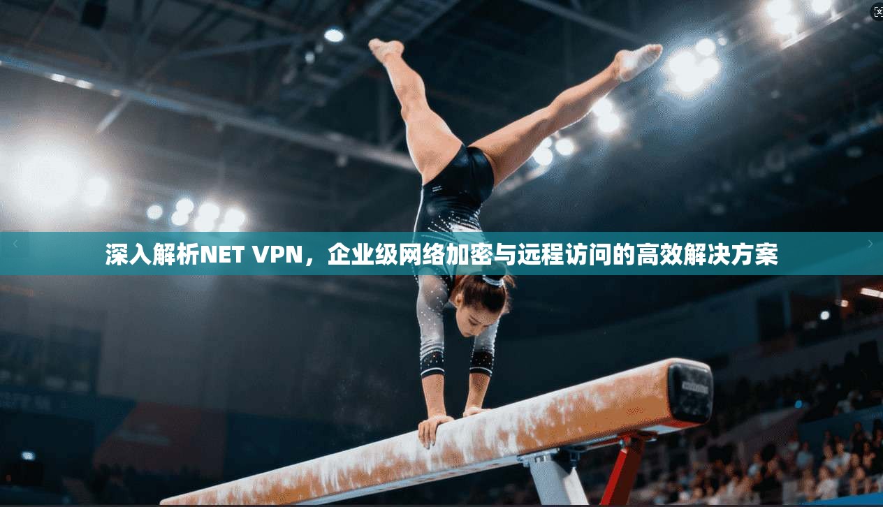 深入解析NET VPN,企业级网络加密与远程访问的高效解决方案