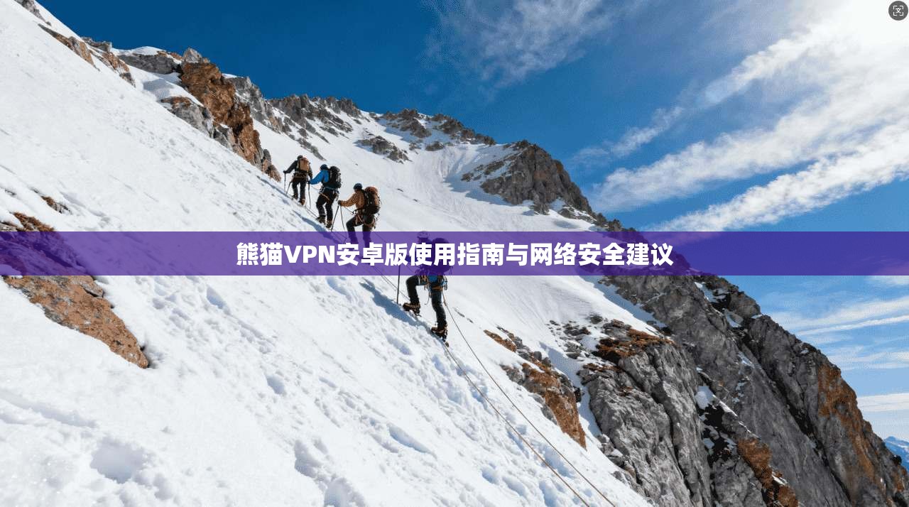 熊猫VPN安卓版使用指南与网络安全建议