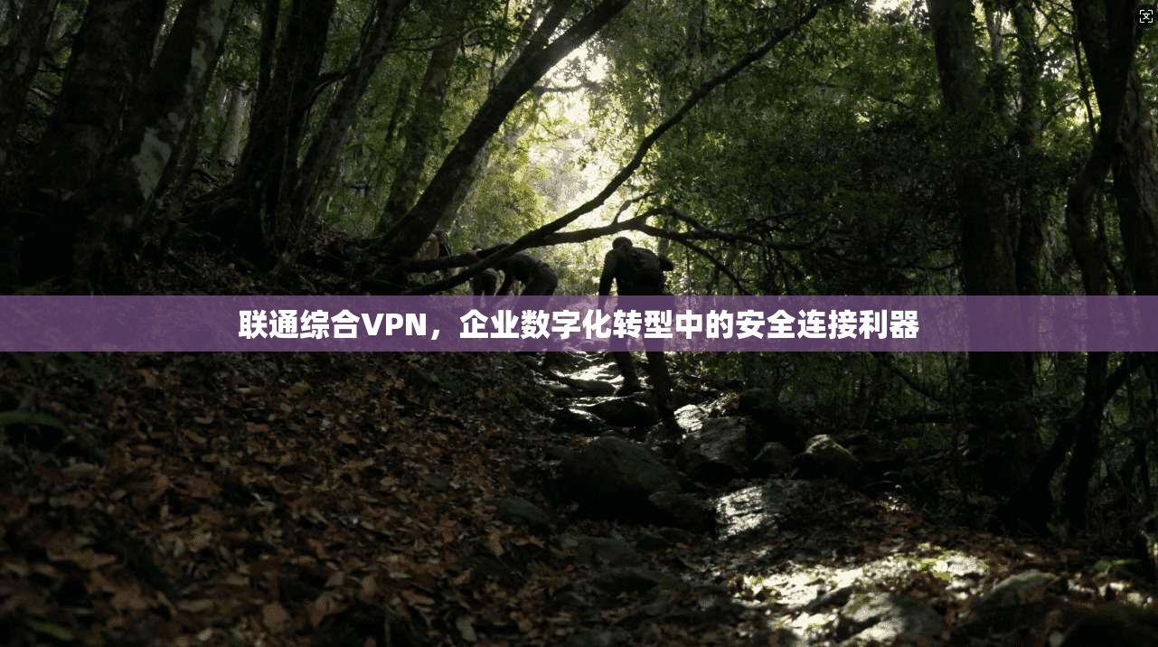 联通综合VPN，企业数字化转型中的安全连接利器