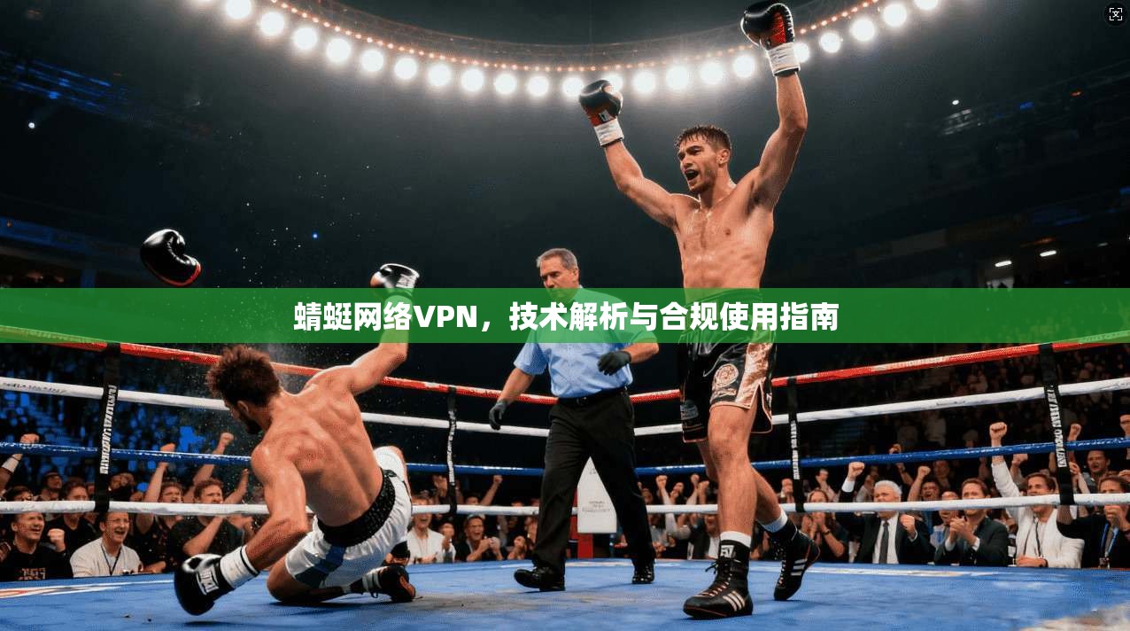 蜻蜓网络VPN，技术解析与合规使用指南