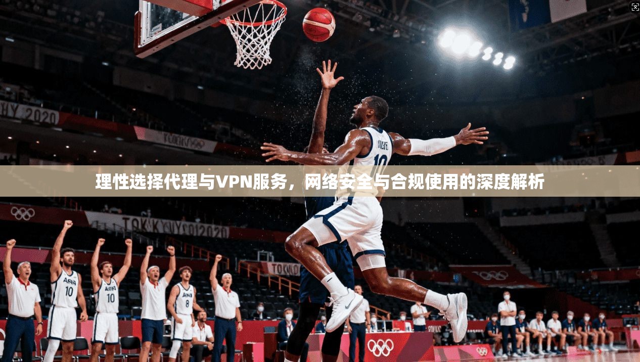 理性选择代理与VPN服务,网络安全与合规使用的深度解析