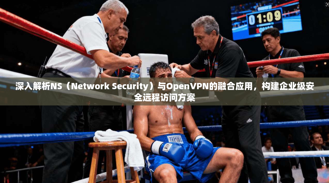 深入解析NS（Network Security）与OpenVPN的融合应用，构建企业级安全远程访问方案
