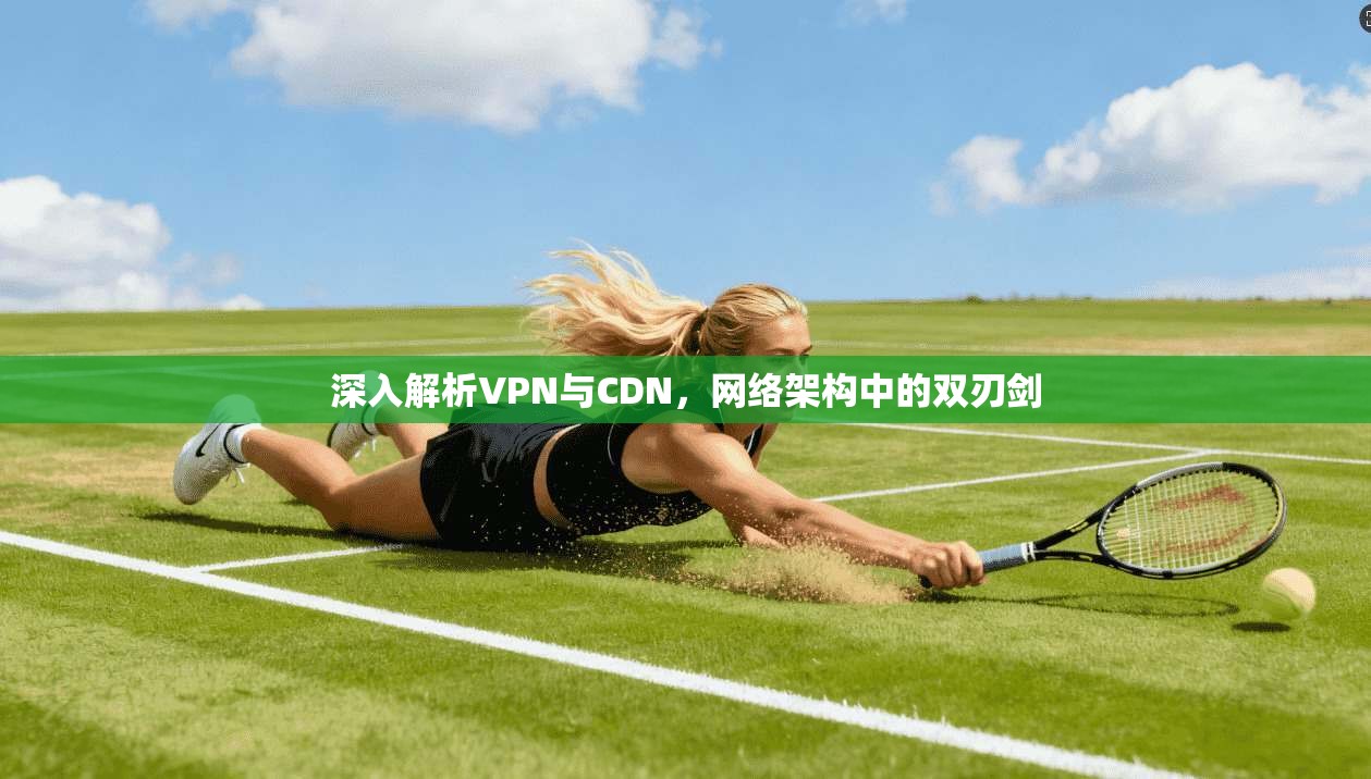 深入解析VPN与CDN，网络架构中的双刃剑