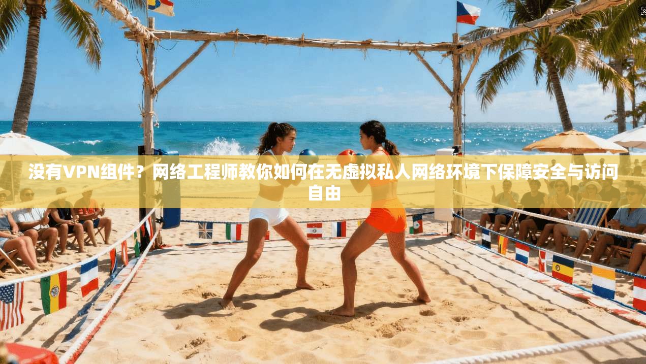 没有VPN组件？网络工程师教你如何在无虚拟私人网络环境下保障安全与访问自由