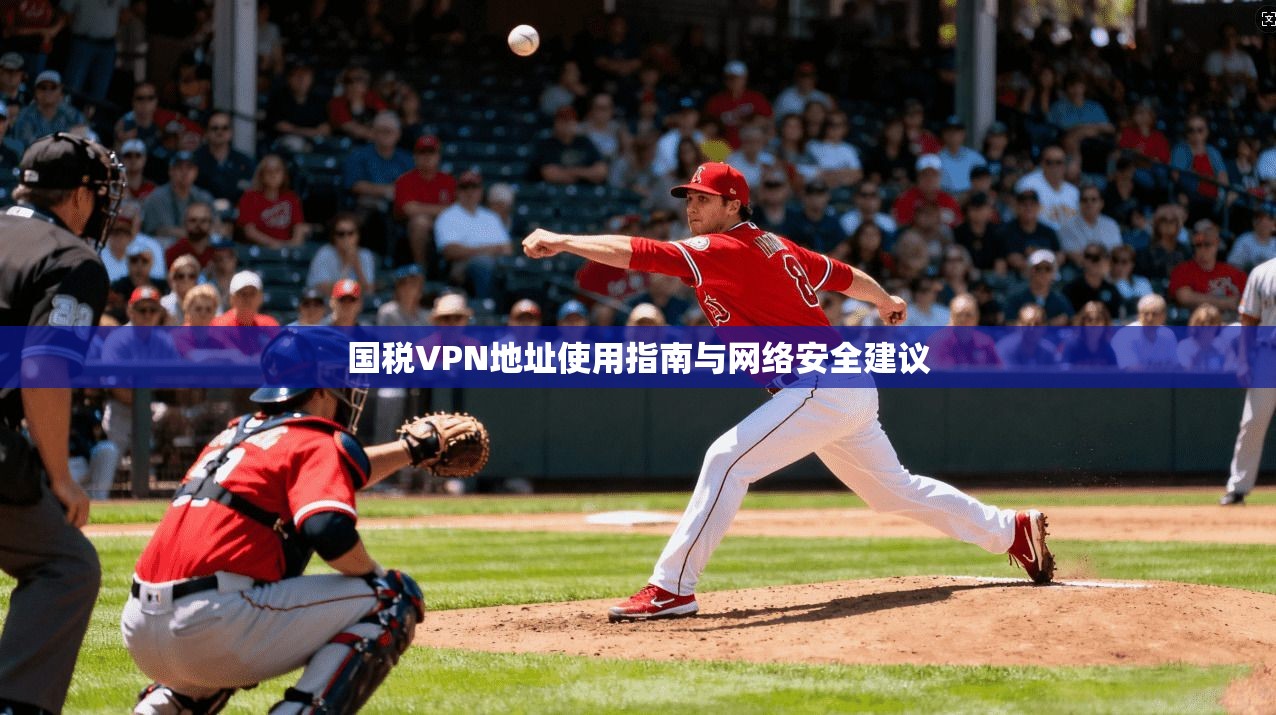 国税VPN地址使用指南与网络安全建议