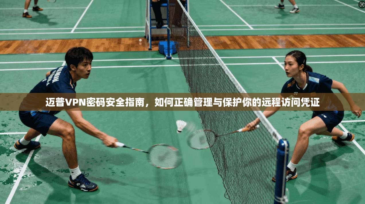 迈普VPN密码安全指南，如何正确管理与保护你的远程访问凭证