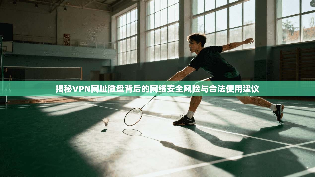 揭秘VPN网址微盘背后的网络安全风险与合法使用建议