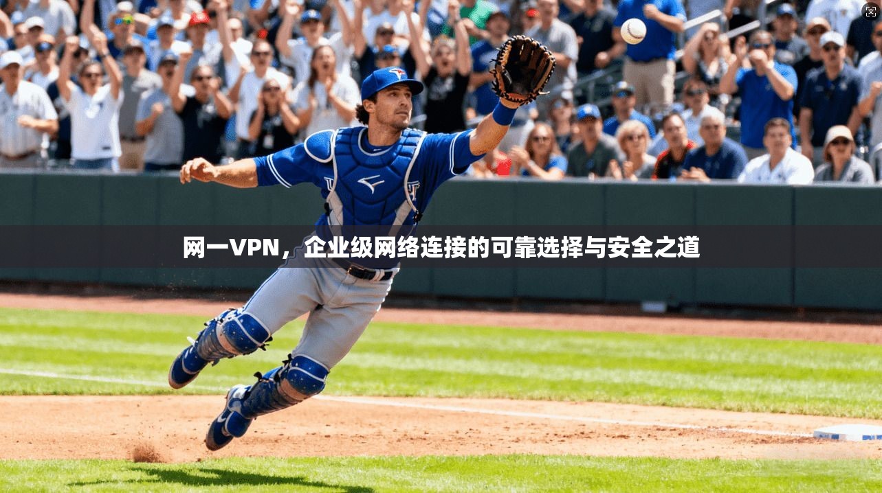 网一VPN，企业级网络连接的可靠选择与安全之道