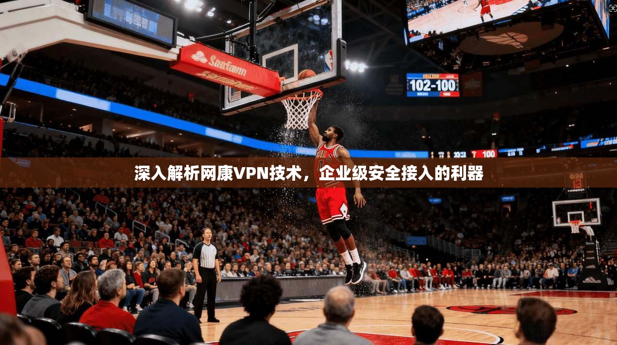 深入解析网康VPN技术，企业级安全接入的利器