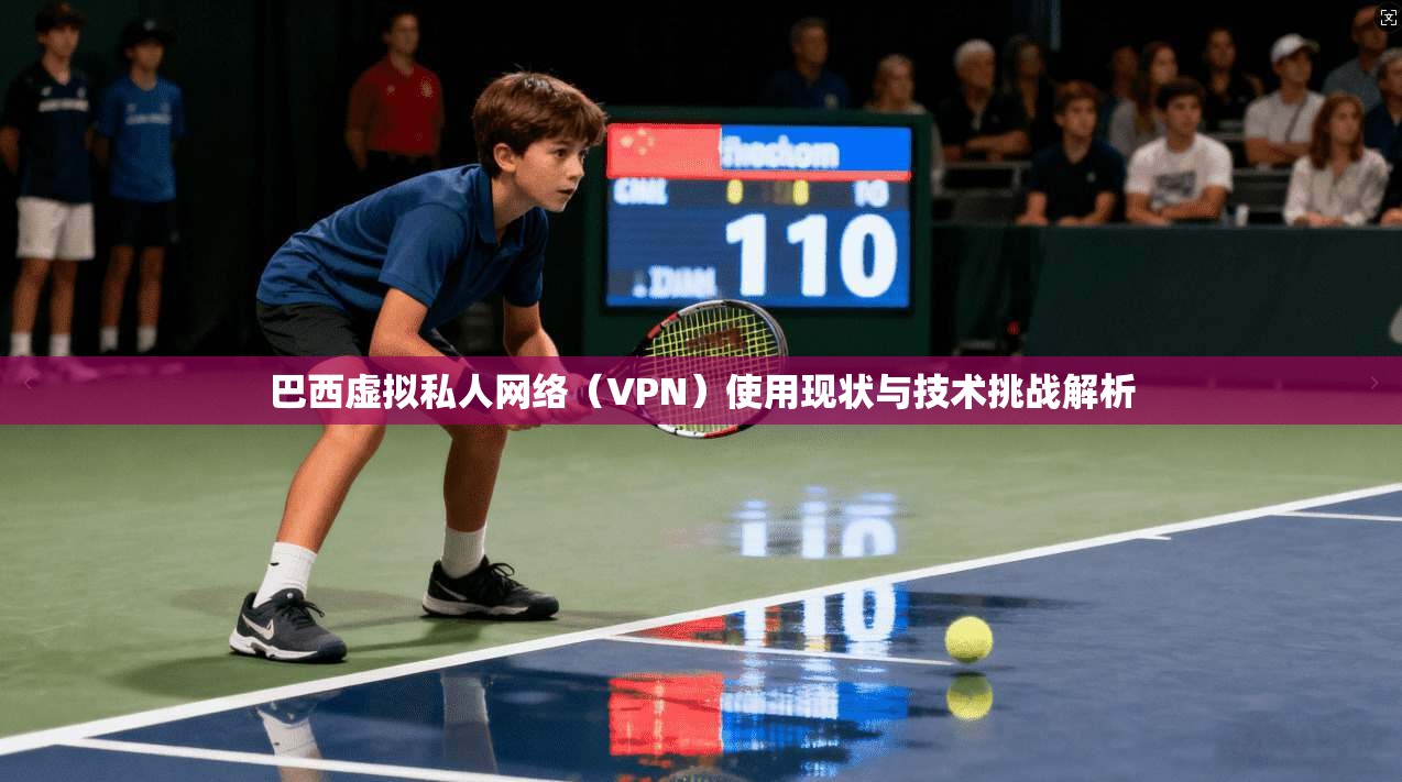 巴西虚拟私人网络（VPN）使用现状与技术挑战解析