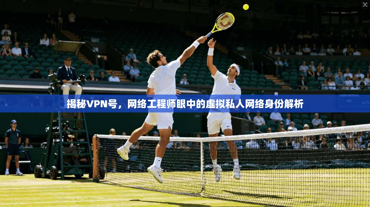 揭秘VPN号,网络工程师眼中的虚拟私人网络身份解析 揭秘VPN号,网络工程师眼中的虚拟私人网络身份解析
