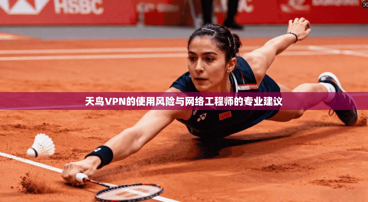 天鸟VPN的使用风险与网络工程师的专业建议