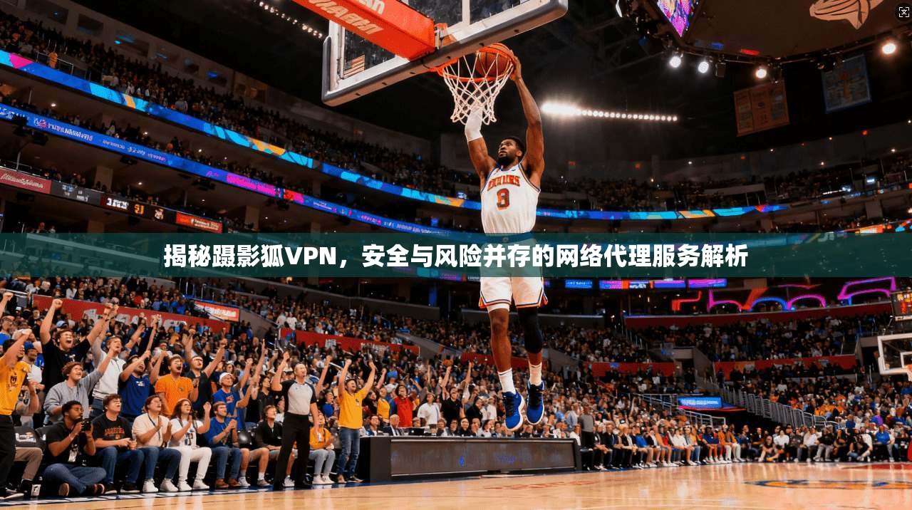 揭秘蹑影狐VPN，安全与风险并存的网络代理服务解析