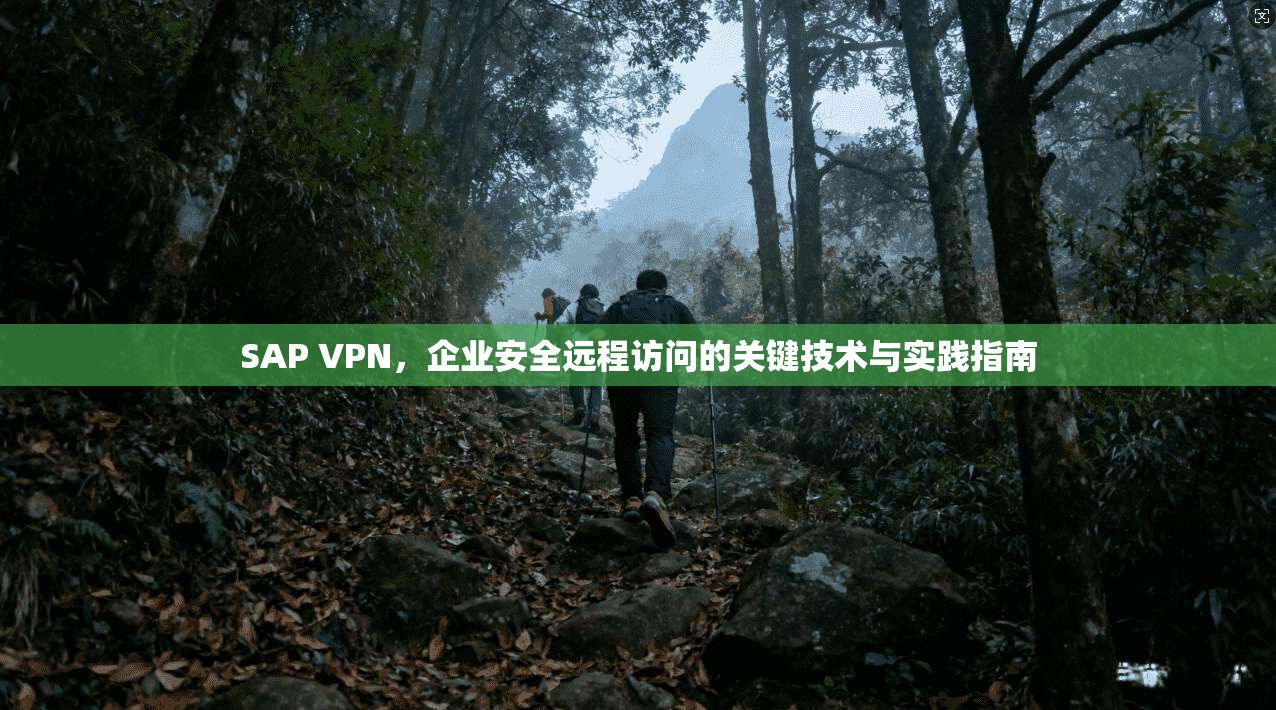 SAP VPN,企业安全远程访问的关键技术与实践指南 SAP VPN,企业安全远程访问的关键技术与实践指南