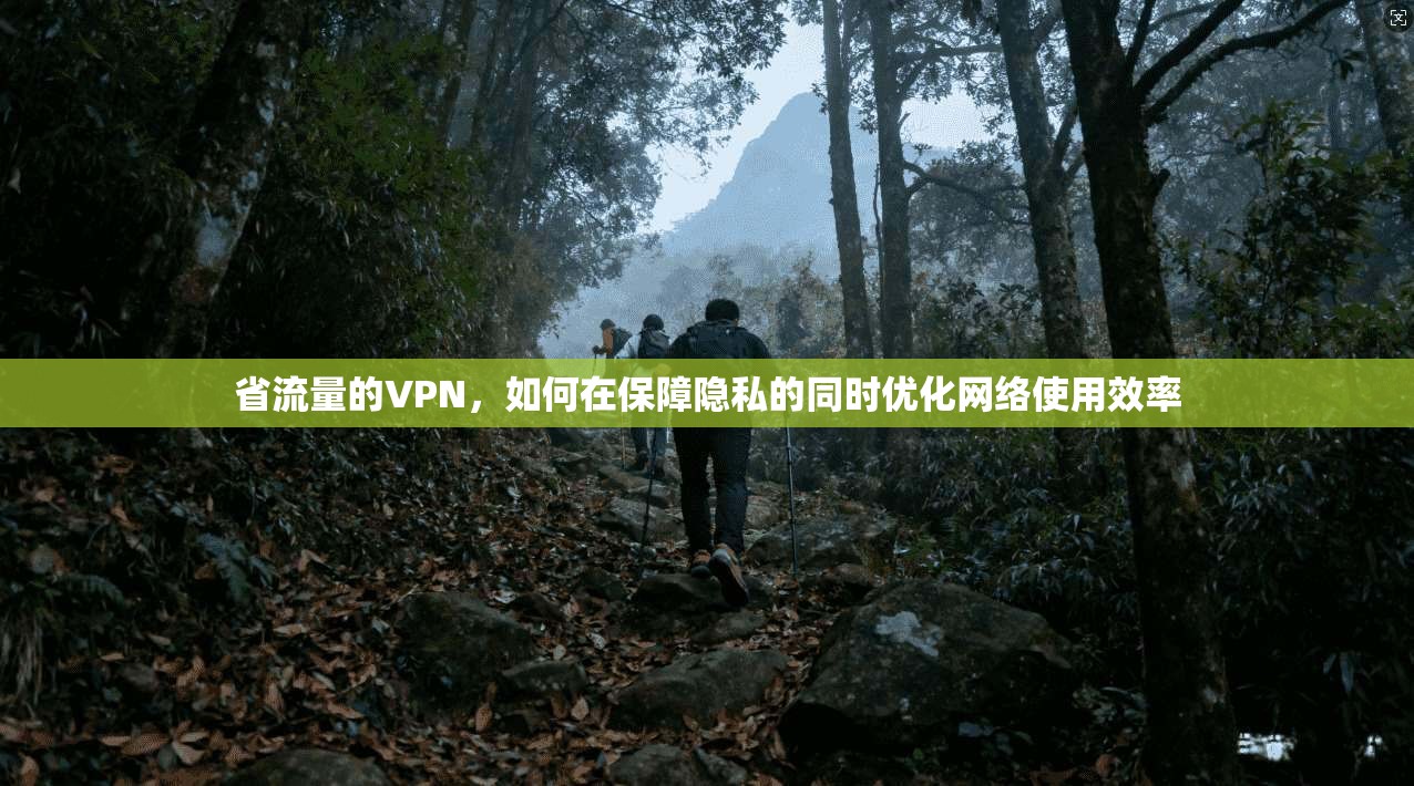 省流量的VPN，如何在保障隐私的同时优化网络使用效率