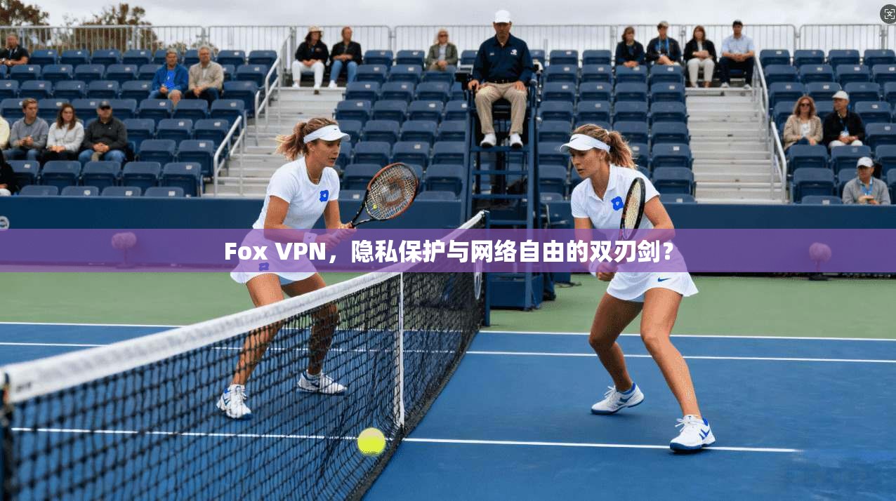 Fox VPN,隐私保护与网络自由的双刃剑? Fox VPN,隐私保护与网络自由的双刃剑?
