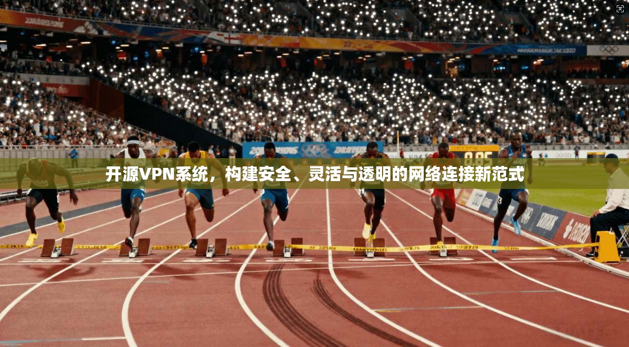 开源VPN系统，构建安全、灵活与透明的网络连接新范式