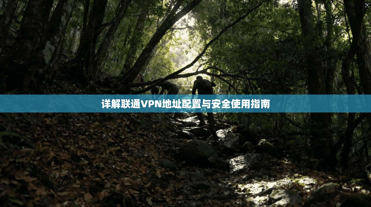 详解联通VPN地址配置与安全使用指南