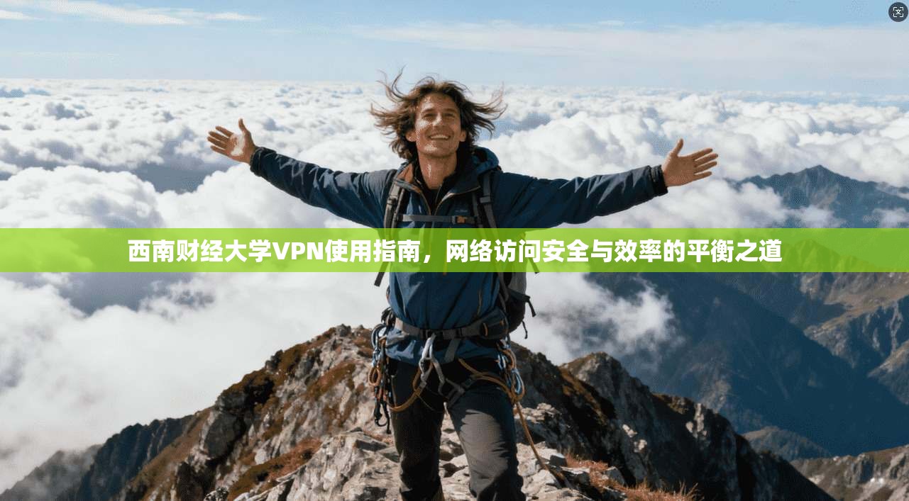 西南财经大学VPN使用指南，网络访问安全与效率的平衡之道