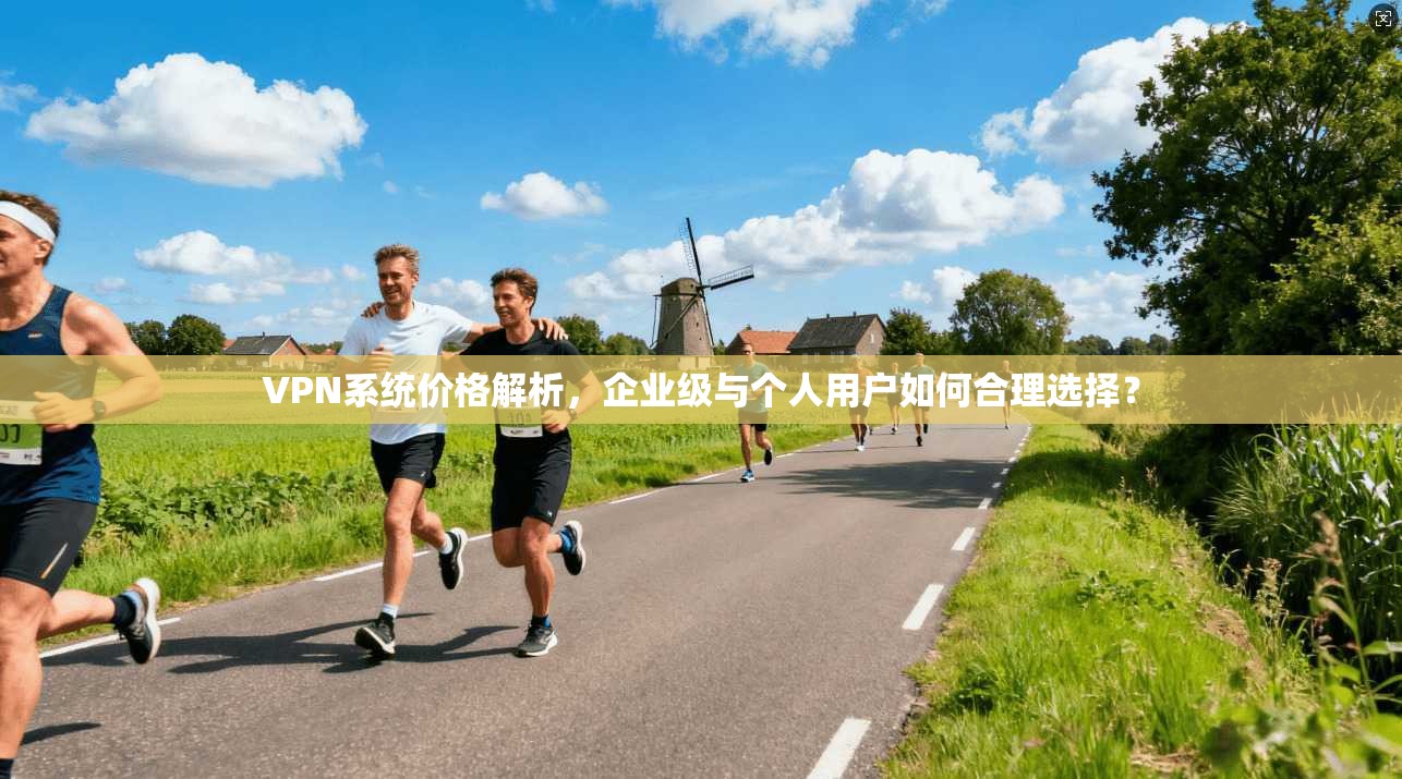 VPN系统价格解析，企业级与个人用户如何合理选择？