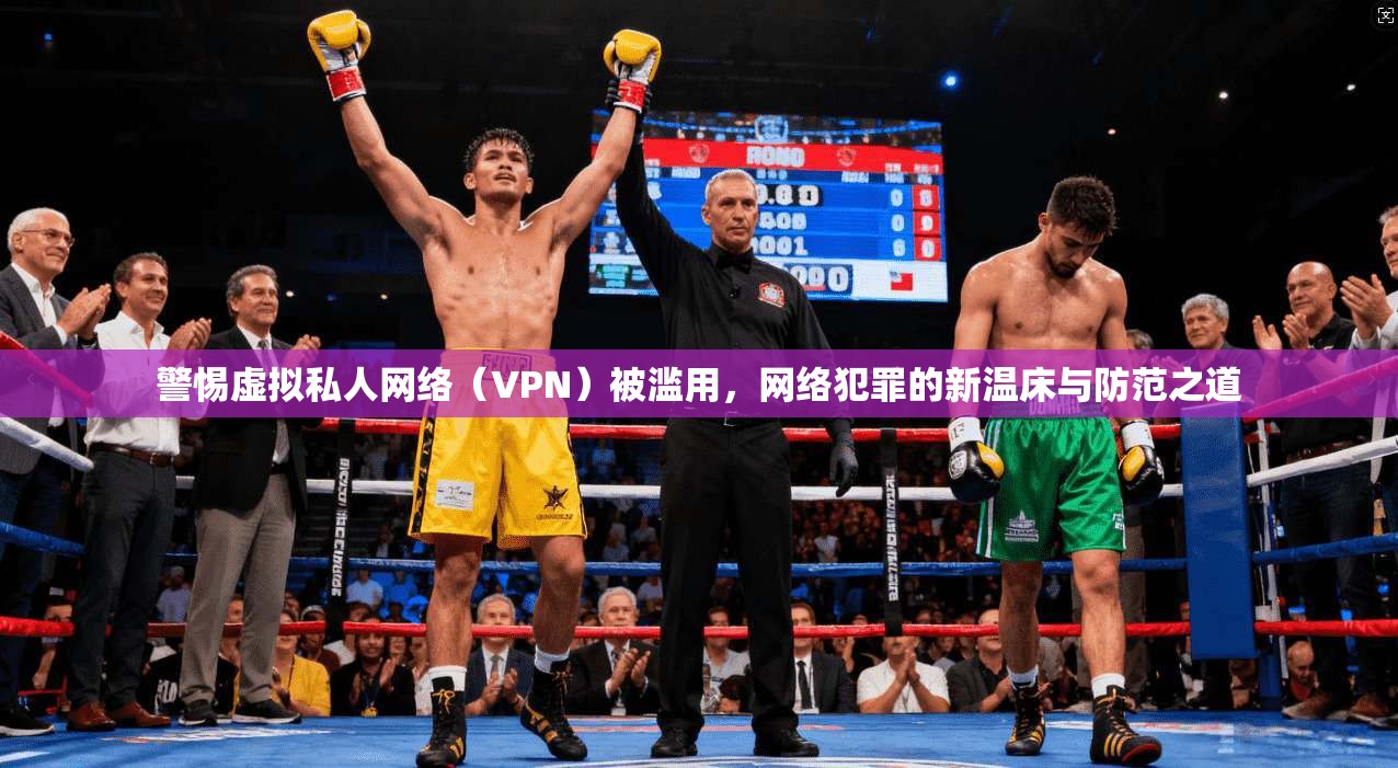 警惕虚拟私人网络（VPN）被滥用，网络犯罪的新温床与防范之道