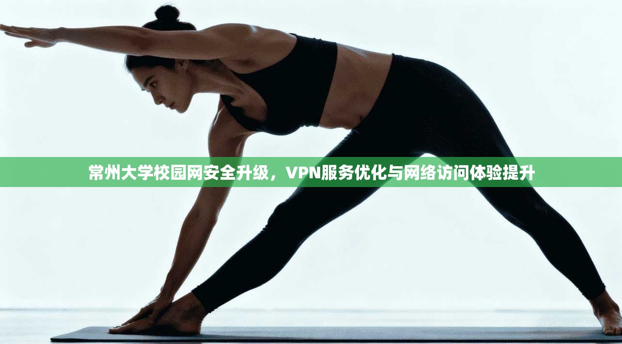 常州大学校园网安全升级，VPN服务优化与网络访问体验提升