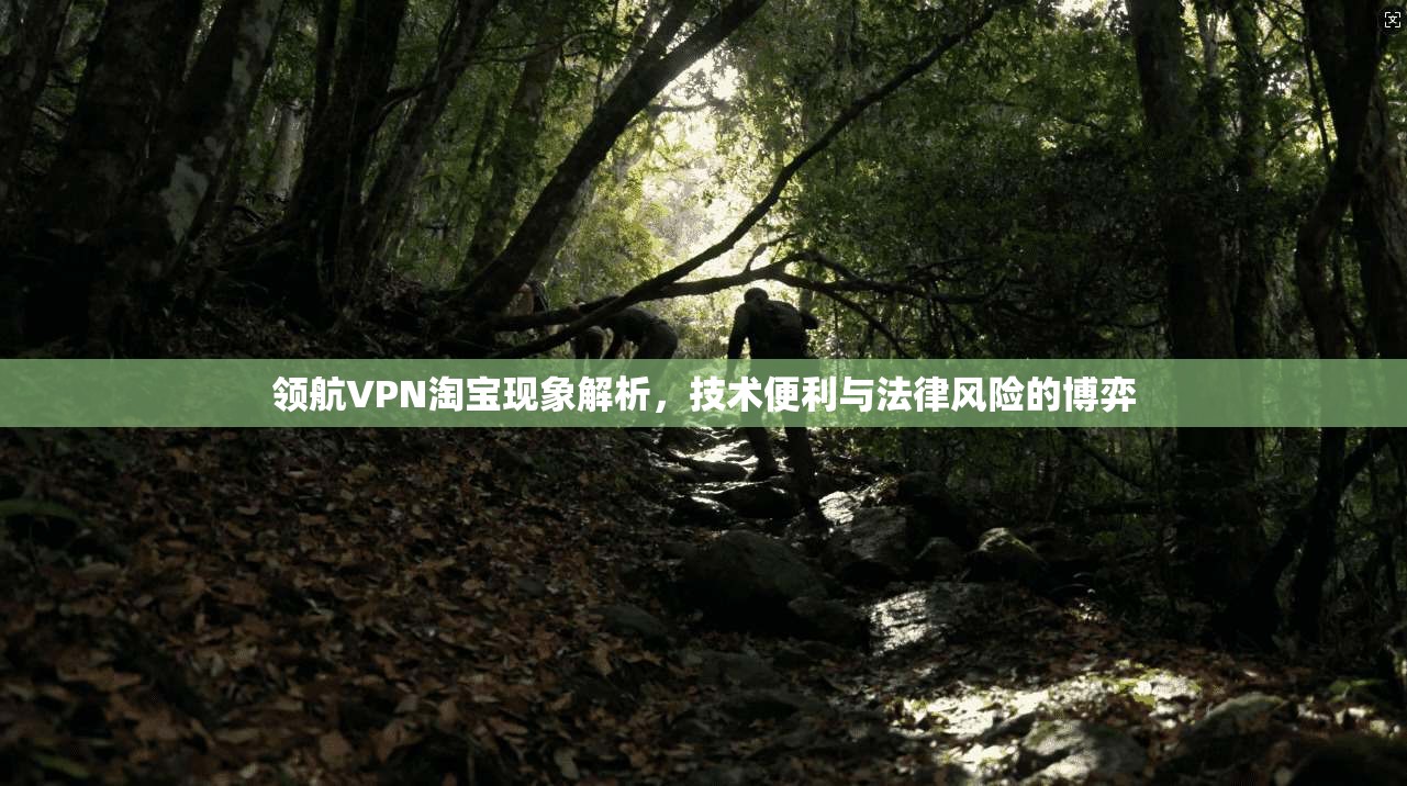 领航VPN淘宝现象解析，技术便利与法律风险的博弈
