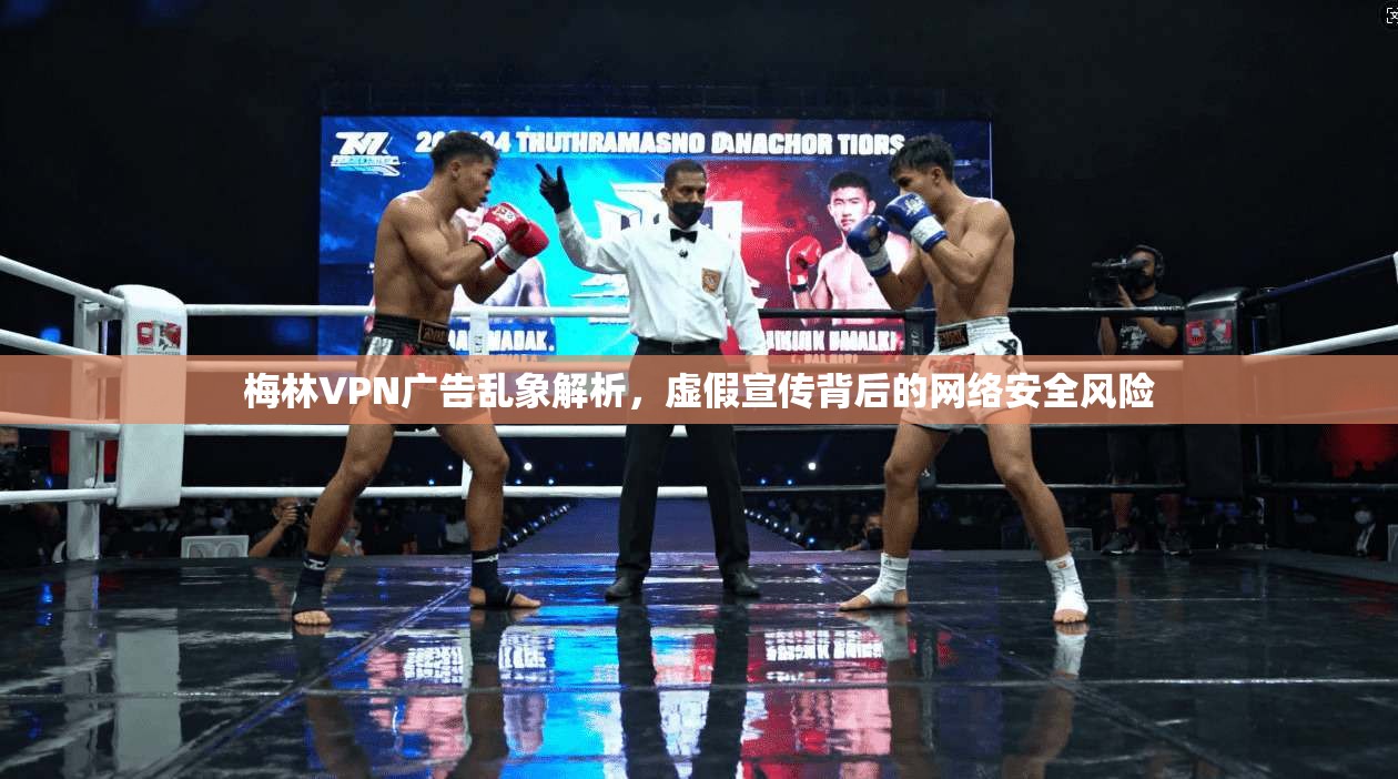 梅林VPN广告乱象解析，虚假宣传背后的网络安全风险