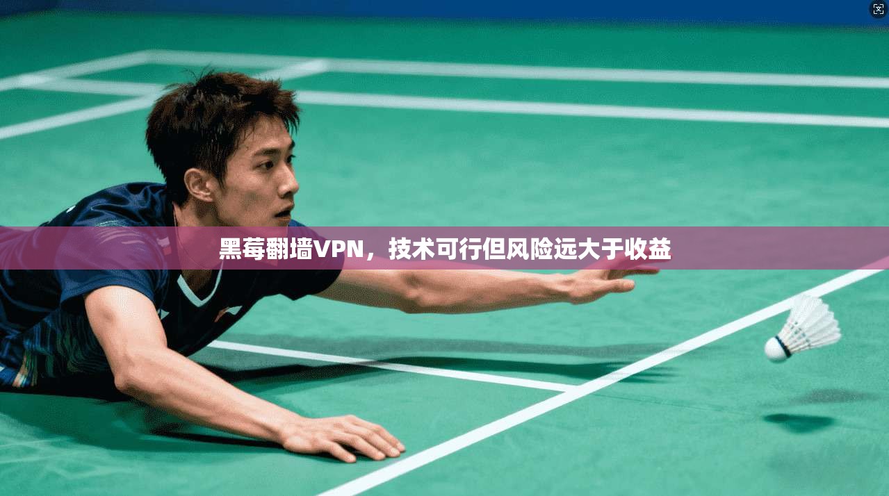 黑莓翻墙VPN，技术可行但风险远大于收益