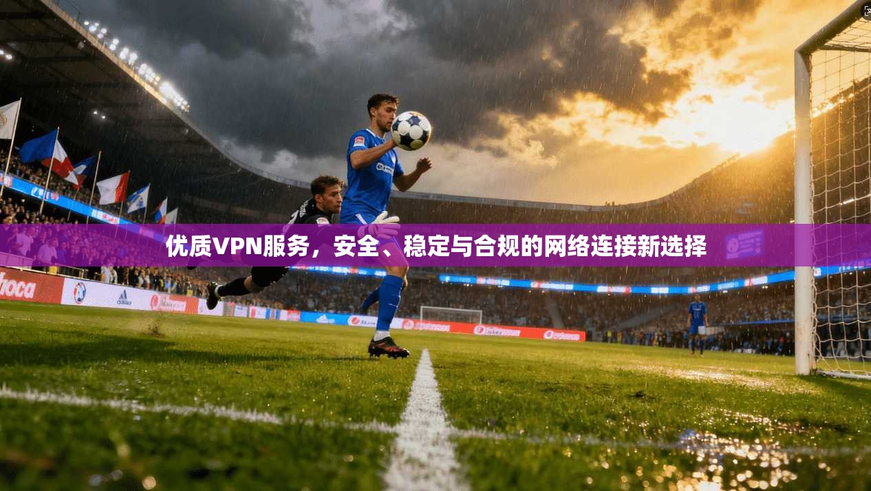 优质VPN服务，安全、稳定与合规的网络连接新选择