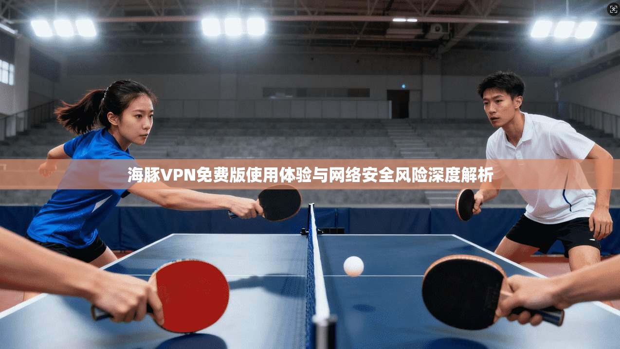海豚VPN免费版使用体验与网络安全风险深度解析