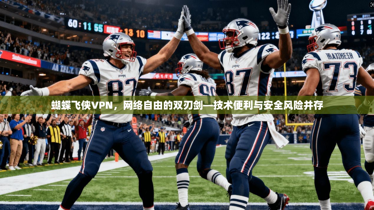 蝴蝶飞侠VPN，网络自由的双刃剑—技术便利与安全风险并存