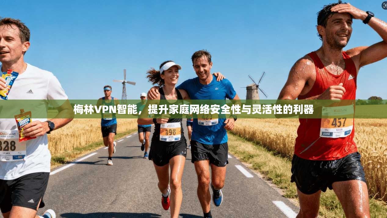 梅林VPN智能，提升家庭网络安全性与灵活性的利器