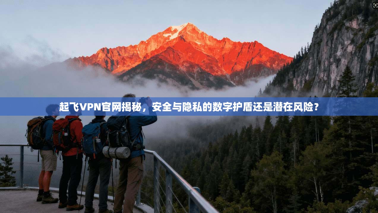 起飞VPN官网揭秘，安全与隐私的数字护盾还是潜在风险？