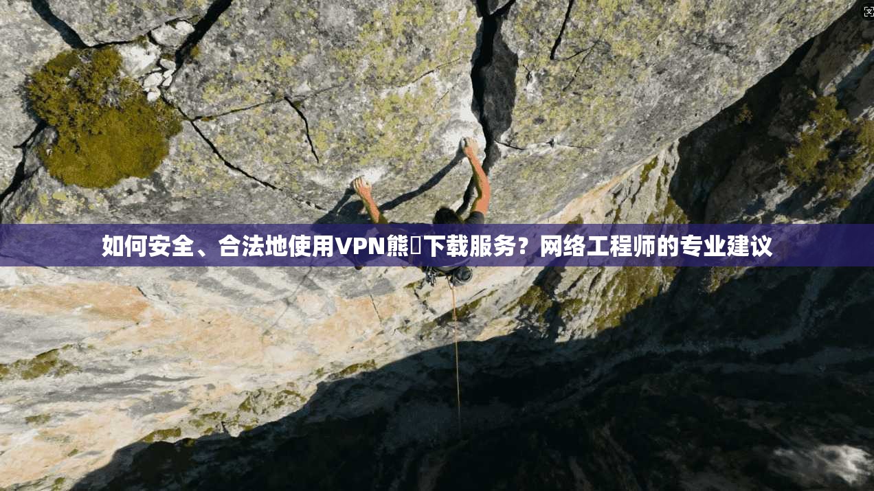 如何安全、合法地使用VPN熊貓下载服务？网络工程师的专业建议