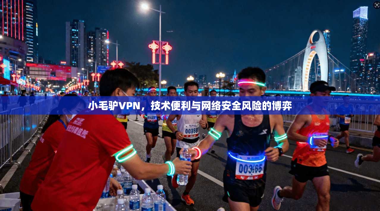 小毛驴VPN，技术便利与网络安全风险的博弈