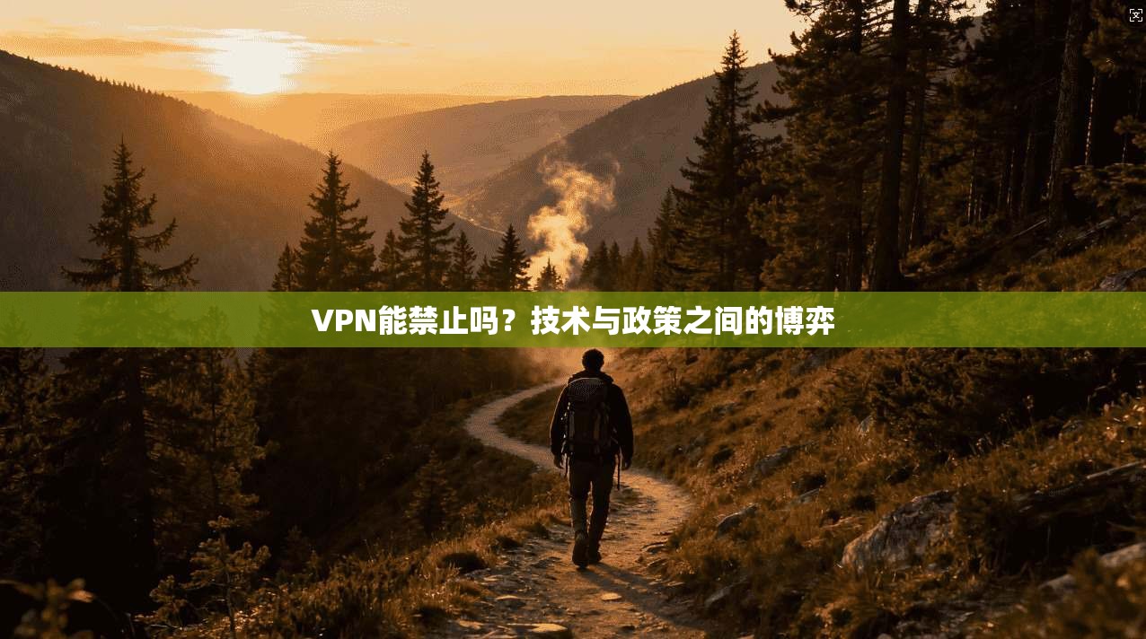 VPN能禁止吗？技术与政策之间的博弈