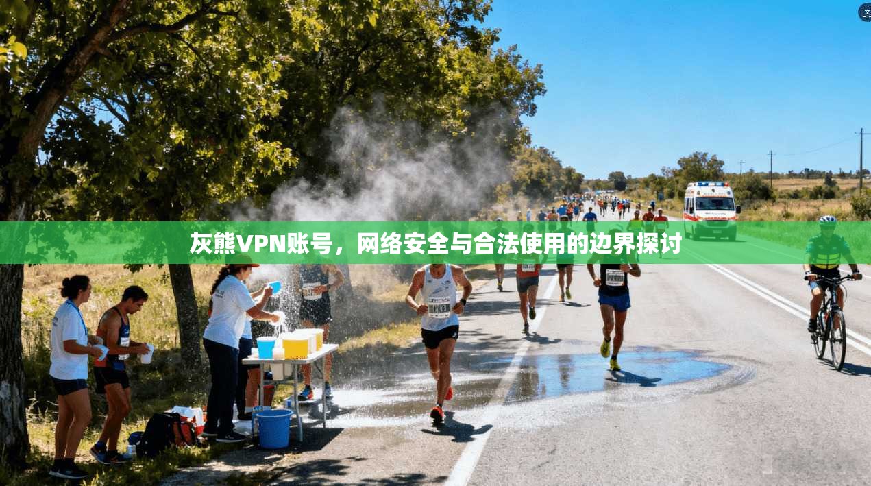 灰熊VPN账号，网络安全与合法使用的边界探讨