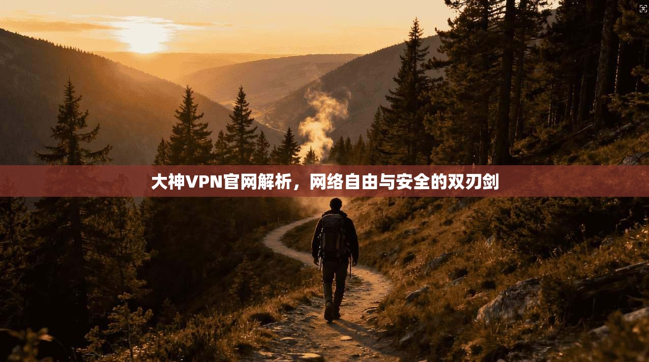 大神VPN官网解析，网络自由与安全的双刃剑